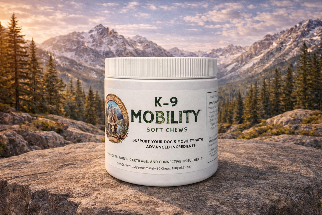 Keep Every Tail Wagging: Natural Joint & Mobility Support for Your Dog