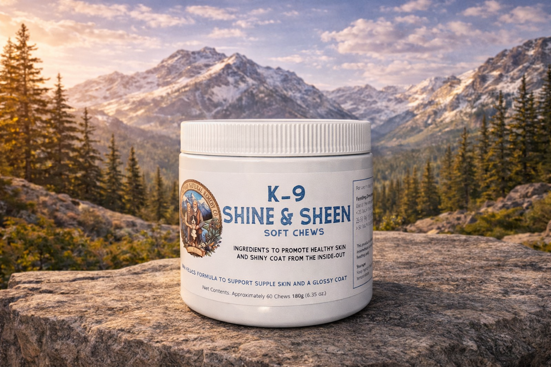 A Healthy Coat Starts from Within: The Science Behind Mountain Lodge K-9 Shine & Sheen Soft Chews